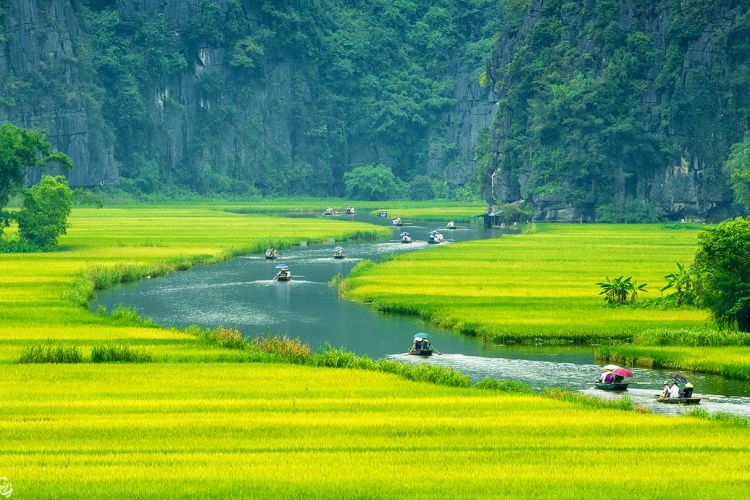 Cẩm nang đi miền Tây theo tour