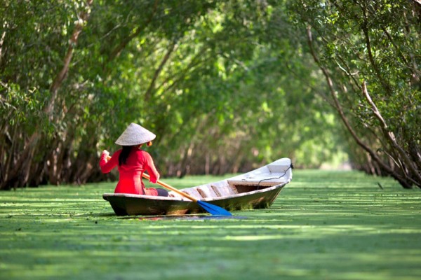 Rừng tràm Trà Sư