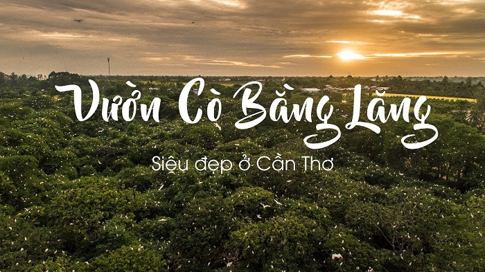 Vườn Cò Bằng Lăng