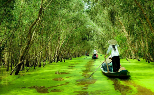 Cần thơ mùa nước nổi