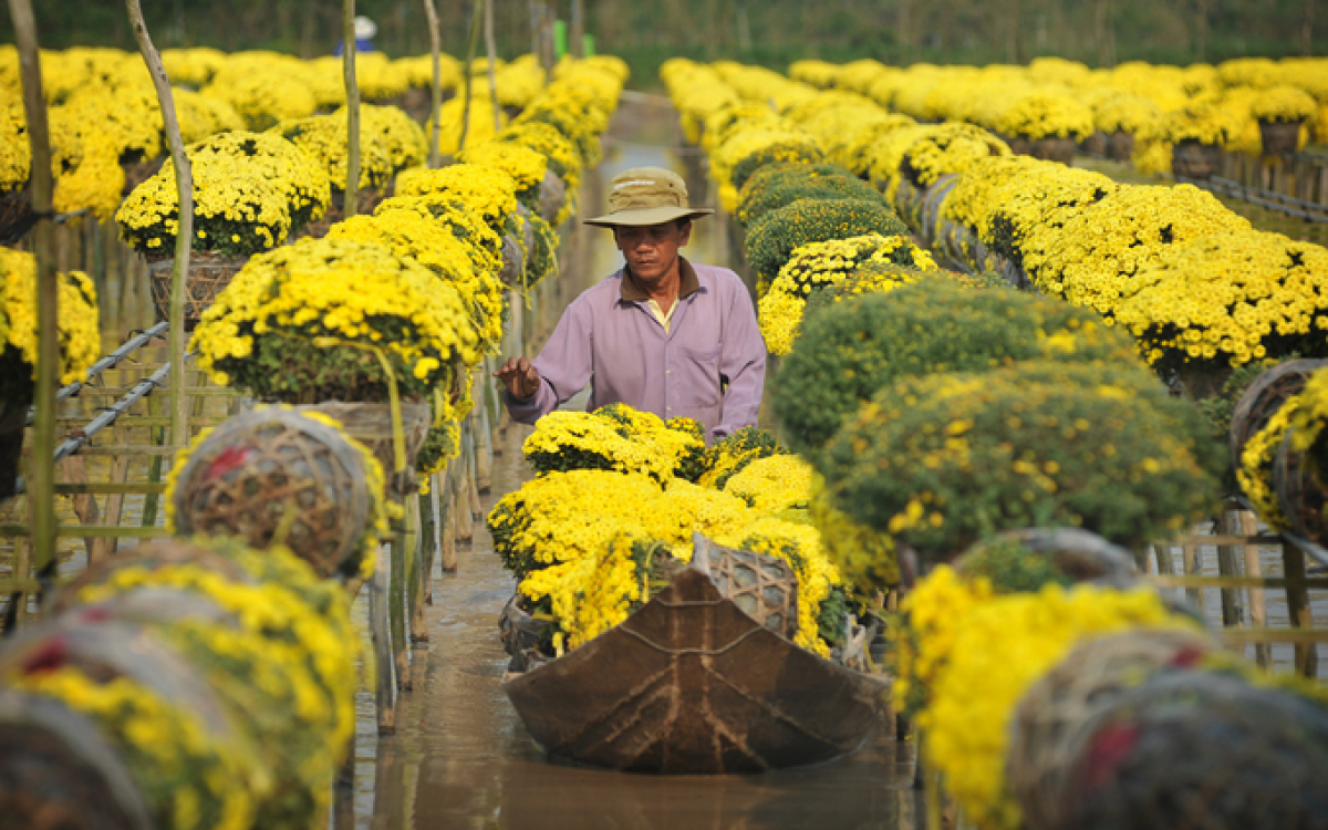 mùa xuân Đồng Tháp